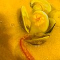 ccdagu 的 南瓜海鮮豆腐煲 ⭐ 家常料理 cooksnap