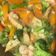 Cooksnap dari Jo Clara (IG @JoClaraa) untuk resep Capcay udang