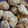 El cooksnap de Rocio Krejci cuando hizo Galletitas de avena y banana con chips de chocolate.