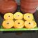 Cooksnap dari Minie Nora(MNKitchen) untuk resep Kue Lumpur Labu Kuning