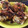 kathy.mccarthyryan's cooksnap of when they made Bacon Cheeseburger Bites.