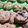 Cooksnap dari Fitriana Rahmawati untuk resep Soft Cookies Green Tea