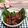 Cooksnap dari Maria Feronika untuk resep Rendang Bumbu Instan Indofood (Empuk banget)