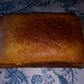 El cooksnap de Alejandra Panizza cuando hizo Bizcochuelo rectangular de 18x31 cm.