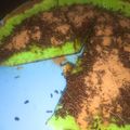 Cooksnap dari Deanda Putri untuk resep Terang bulan teflon anti gagal empuk
