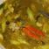 Cooksnap dari Maya Sari untuk resep Asem asem Bandeng bumbu Iris