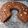 El cooksnap de Natalia cuando hizo Torta de chocolate con harina integral y sin materia grasa.