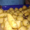 Cooksnap dari Nadia untuk resep Kentang keju