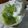 Cooksnap dari Ratmiaji Zaki untuk resep Lumpur Surga (Khas Banjarmasin)