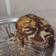 El cooksnap de Veronica Zipitria cuando hizo Torta marmolada esponjosa.