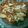 Cooksnap dari siwi untuk resep Ayam geprek homemade