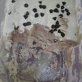 Cooksnap dari Ummu Hamzah Azzam untuk resep Es krim rumahan lembut, ekonomis 😁