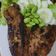 Cooksnap dari Puthh untuk resep Ikan bakar madu