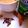 Anamta Azeem's cooksnap of when they made Spicy milky tea.