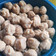 Cooksnap dari Ummu 'Abdillah untuk resep Bakso sapi Homemade