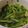 可暧 的 清炒菠菜 cooksnap