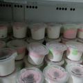 Cooksnap dari Kemuning Sari untuk resep Es Krim Murmer dan Lembut