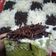 Cooksnap dari Dany Aprilianingsih untuk resep Bolu Kukus Pandan, Ekonomis