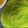 Sharayu Tadkal Yawalkar's cooksnap of when they made Moong Spinach Dosa.