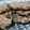 El cooksnap de Romy Saurin cuando hizo Galletas de avena y manzana sin harina.