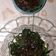Cooksnap dari Ruwaida Wahyuni untuk resep Plecing Kangkung