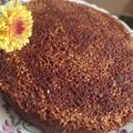 کوک اسنپ 😋MARYAM😋 بعد از امتحان کردن کیک ارده و شیره🥮 (بدون فر، بدون روغن و شیر).