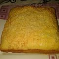 Cooksnap dari Ibu Aazh & aAzh untuk resep Proll Tape