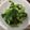 感謝主 的 蝦米青江菜 cooksnap