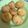 Cooksnap dari Rose's Kitchen untuk resep Kue soes simple