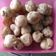 Cooksnap dari Hepi Setianingsih untuk resep Cimol Gurih anti meledak