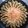 Nehal Patel's cooksnap of when they made સન ફ્લાવર બ્રેડ (Sunflower Bread Recipe In Gujarati).
