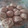 El cooksnap de veeri.j cuando hizo Galletas Espiral.