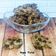 Cooksnap dari Dapur B'wish untuk resep Banana Oat Cookies