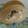 7O33☆'s cooksnap of when they made 簡単♪失敗なしのバタークリーム.