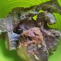 Cooksnap dari Selma Gusmira untuk resep Ikan tongkol goreng balado