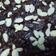 Cooksnap dari Riesta untuk resep Brownies Panggang