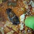 Cooksnap dari shusan dewi puspitarini untuk resep Mangut Kepala Manyung Asap