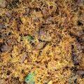 Cooksnap dari Citra Wardhani untuk resep Serundeng Daging Empuk