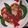 صورة من ام العبد 1988، شاركها بعد تجربة وصفة شكشوكة 🍳🍅🍳🍀