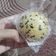 Cooksnap dari Dhita untuk resep Onde-onde lembut dan kokoh kulitnya