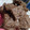 El cooksnap de Camila Gomez cuando hizo Brownie de Porotos Negros (sin harina y sin huevos).