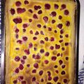 El cooksnap de Stibaliz Salazar Vallejos cuando hizo Kuchen de Frambuesas.