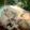 Nandita Mukherjee's cooksnap of when they made চিকেন ইয়াখনি পোলাও(chicken yakhni pulao recipe in Bengali).