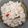 Cooksnap dari RI Cellular untuk resep Nasi liwet magicom (santan)