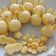 รูป Cooksnap ของ Yukihiro Yasaburo เมื่อเขาทำ เมเดไลน์ lemon madeleine ขนมอบก้นหอยแบบฝรั่งเศส