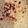 Bala chophla's cooksnap of when they made Radish paratha.