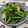 Viki自由揮灑kitchen 的 清炒菠菜 cooksnap