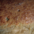 El cooksnap de Rosario Vergara Olea cuando hizo Bizcocho de plátano.