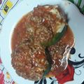 El cooksnap de Brenda Ibarra cuando hizo Zapallitos rellenos de carne y arroz.