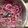 Clare Knivett's cooksnap of when they made Instant Pickled Red Onion.